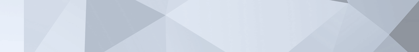 seo-services-auckland